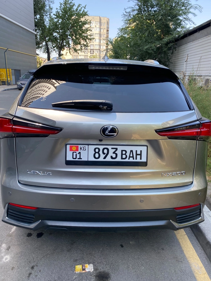 Lexus NX, 2021 — фото 6 из 12