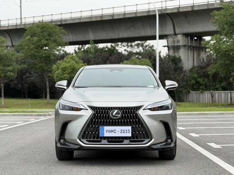 Lexus NX, 2022 — фото 2 из 12