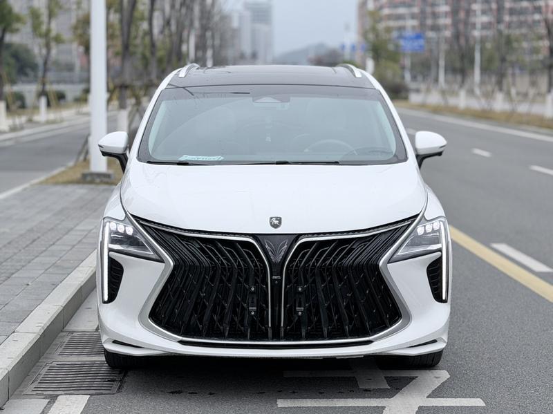 Dongfeng Forthing Yacht, 2023 — фото 2 из 12
