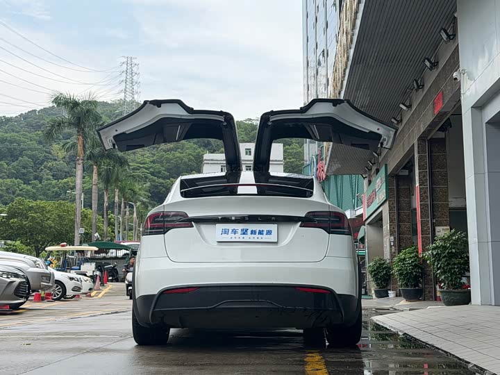 Tesla Model X, 2023 — фото 4 из 9