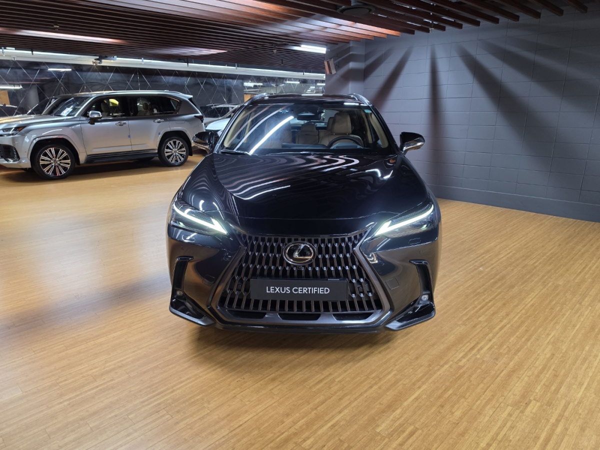Lexus NX, 2025 — фото 3 из 12