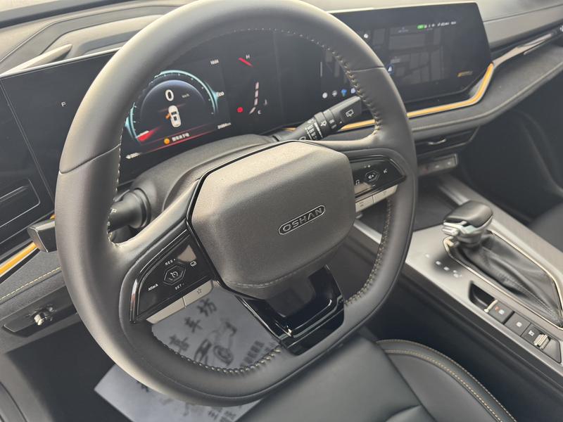 Changan Oshan X5 Plus, 2023 — фото 9 из 12