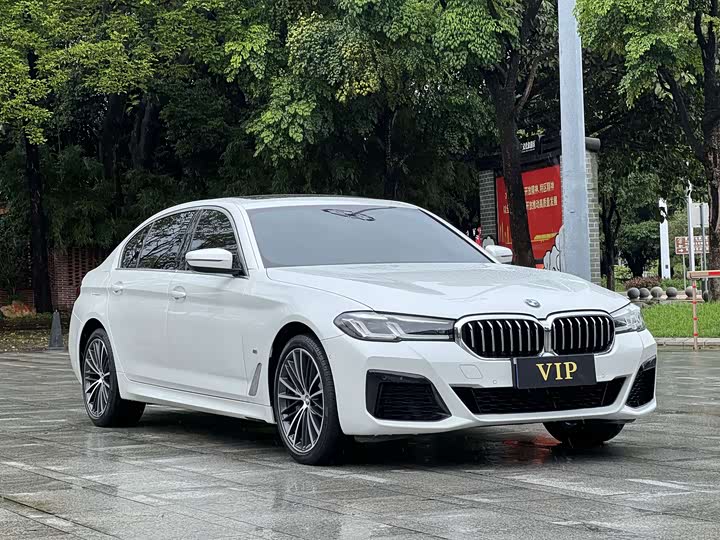 BMW 5 Series, 2022 — фото 3 из 9