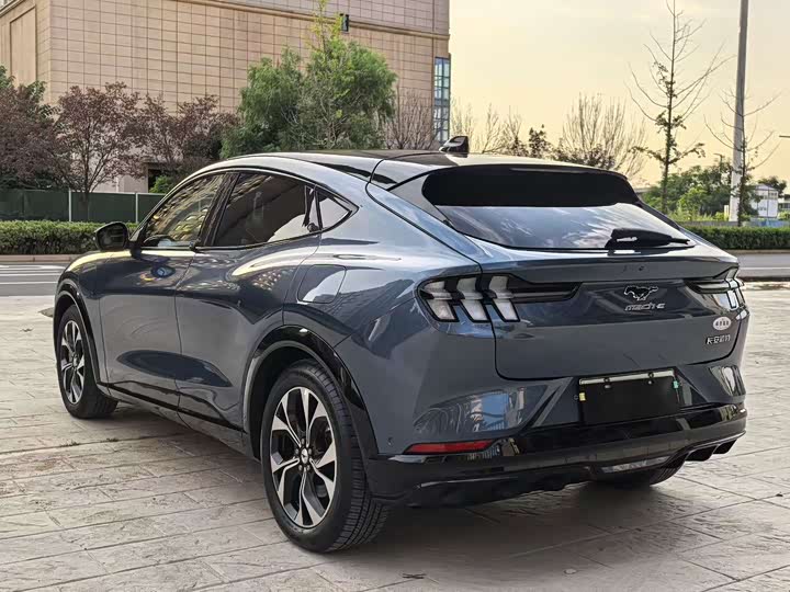Ford Mustang Mach-E, 2022 — фото 7 из 9