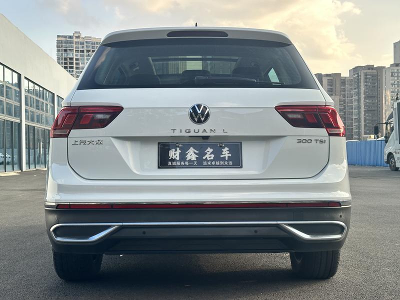 Volkswagen Tiguan L Pro, 2023 — фото 5 из 12