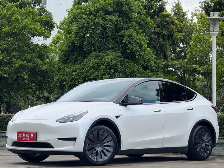 Tesla Model Y, 2023 — купить в Липецке под ключ