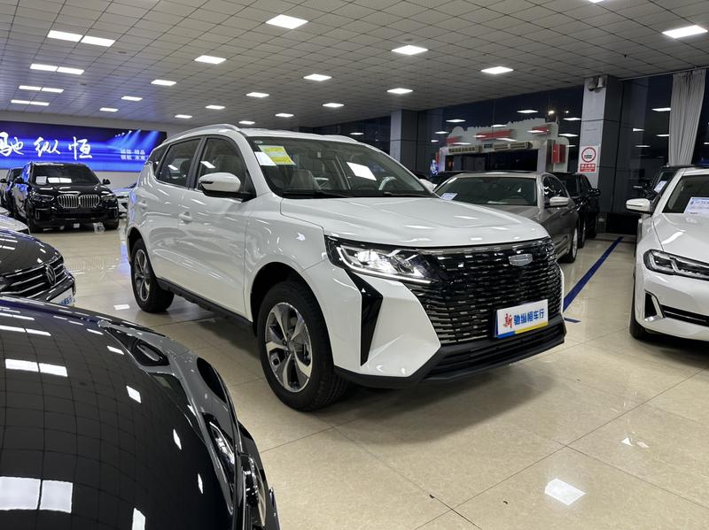 Geely Okavango Pro, 2025 — фото 3 из 11
