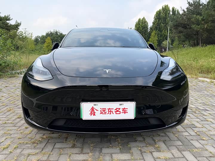 Tesla Model Y, 2022 — фото 2 из 9