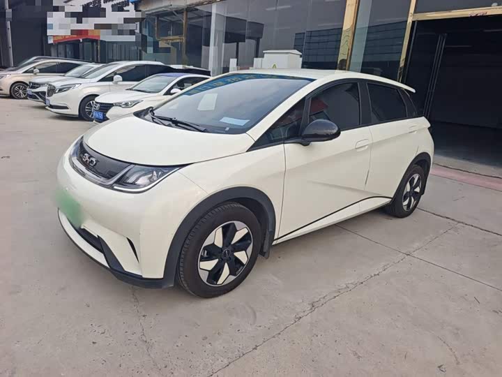 BYD Dolphin, 2025 — купить в Тамбове под ключ