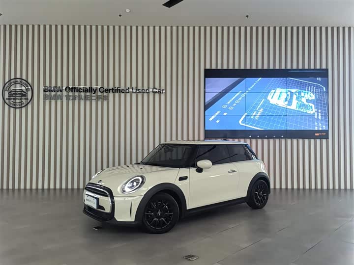 Mini Mini, 2022 — купить в Москве под ключ