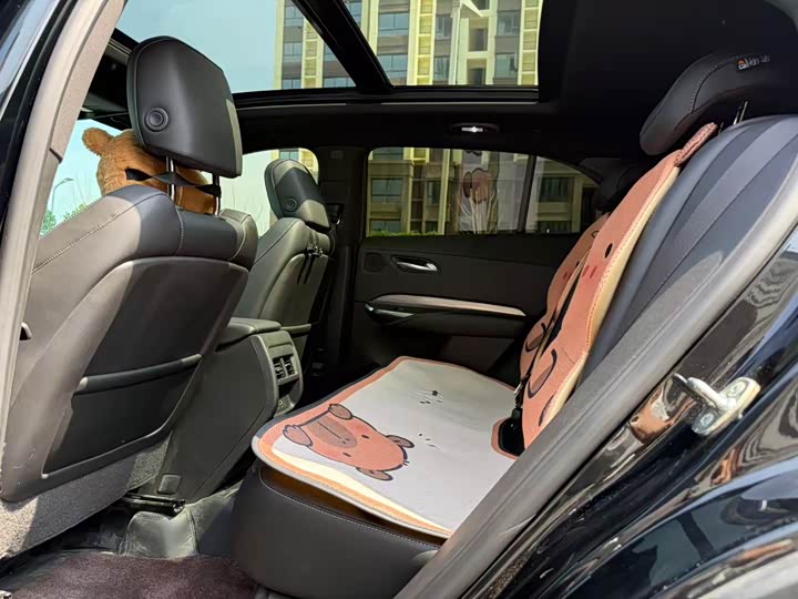 Cadillac XT4, 2025 — фото 7 из 9