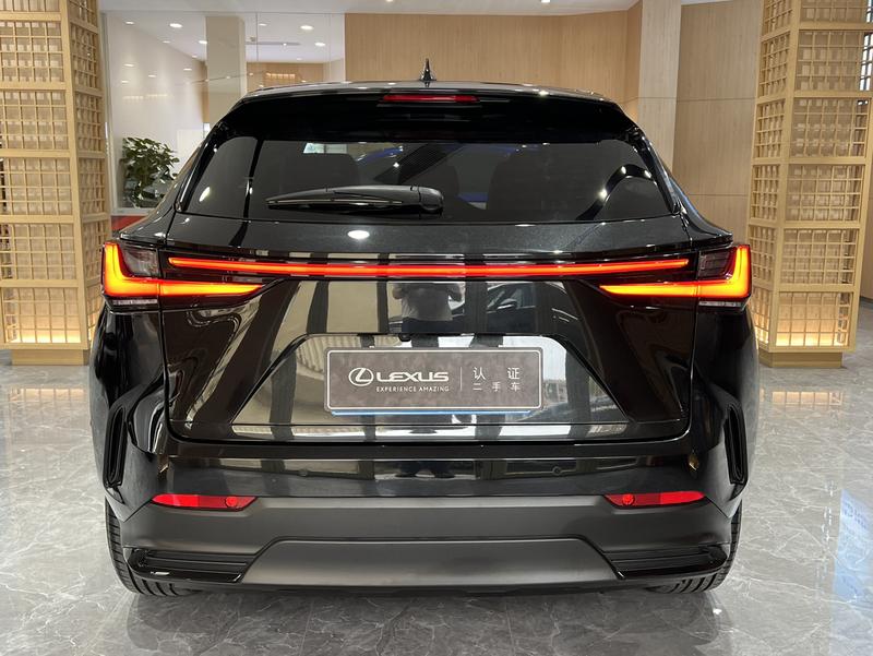 Lexus NX, 2023 — фото 5 из 12