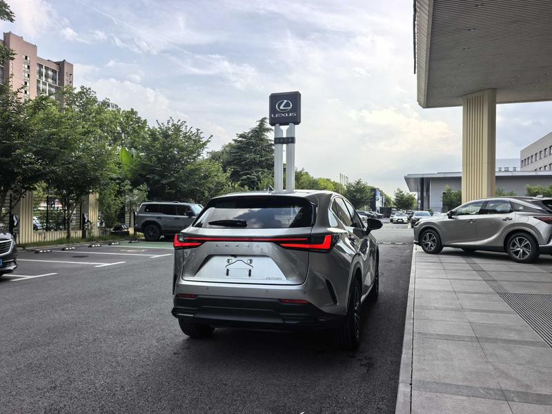 Lexus NX, 2023 — фото 7 из 12