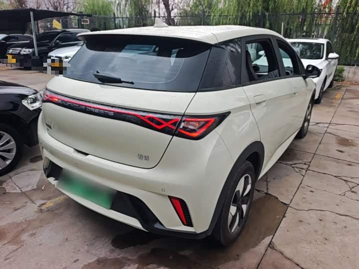 BYD Dolphin, 2026 — фото 7 из 9