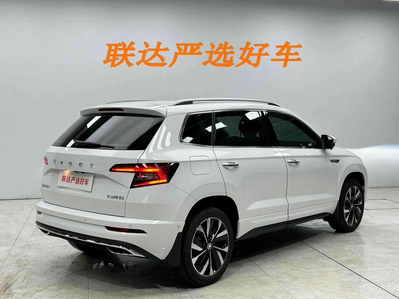 Skoda Karoq, 2025 — фото 6 из 12