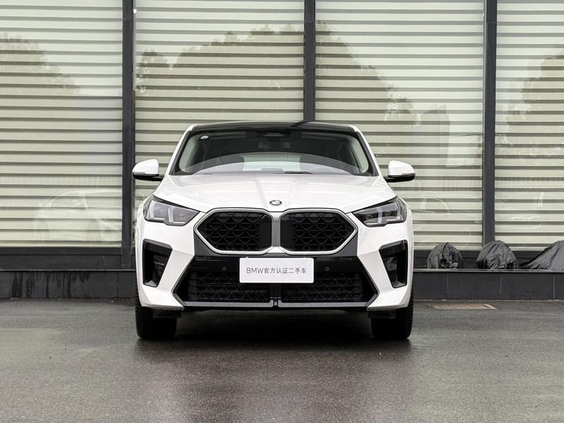BMW X2, 2024 — фото 2 из 12