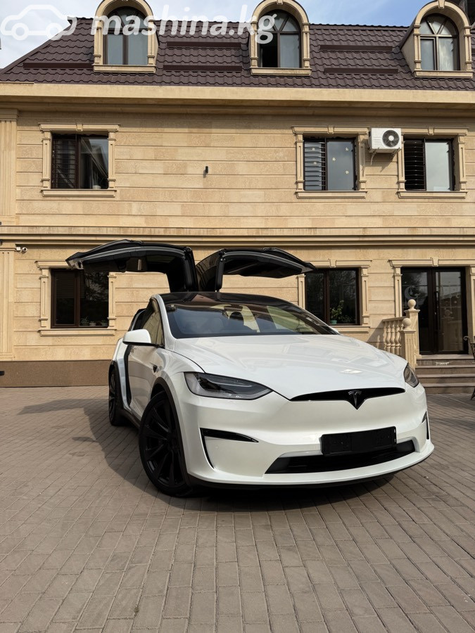 Tesla Model X, 2023 — фото 2 из 12