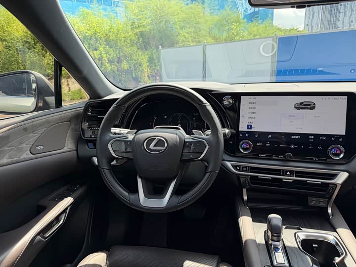 Lexus RX Hybrid, 2022 — фото 7 из 9