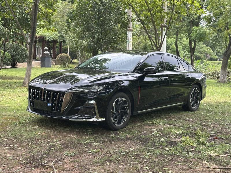 Hongqi H6, 2025 — купить в Липецке под ключ