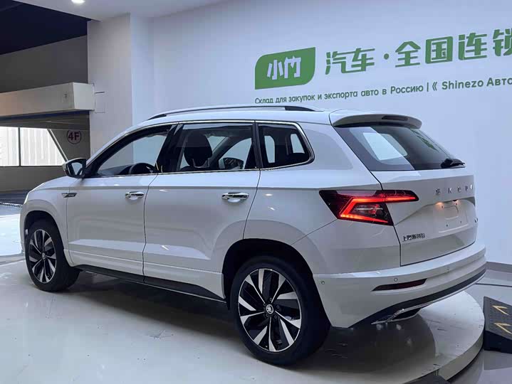 Skoda Karoq, 2025 — фото 4 из 9
