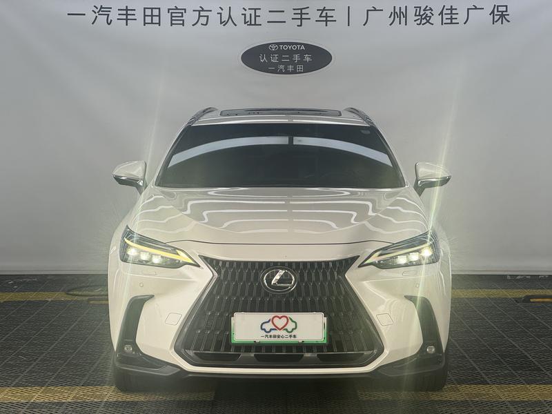Lexus NX Hybrid, 2021 — фото 2 из 12