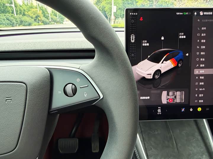 Tesla Model Y, 2025 — фото 9 из 9