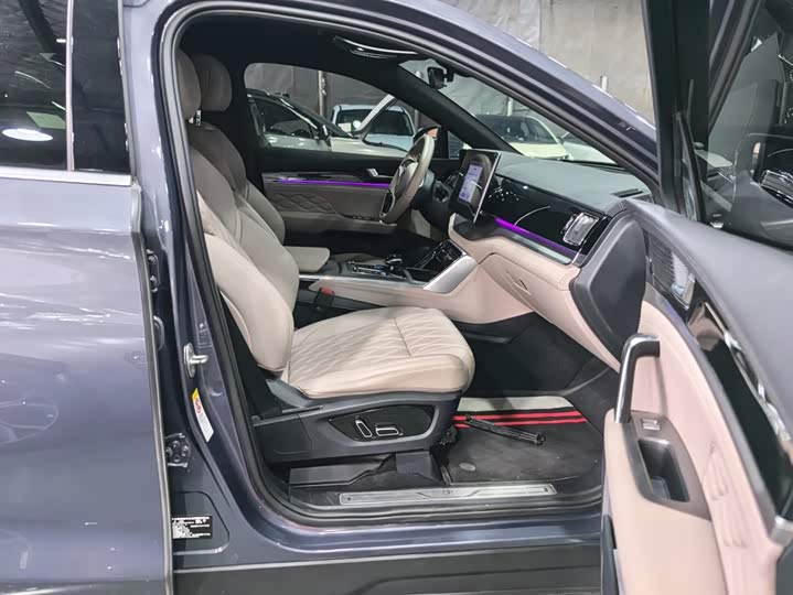 BYD Tang Hybrid/EV, 2023 — фото 8 из 9