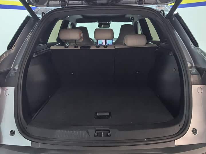 BYD Song Pro Hybrid, 2024 — фото 4 из 9