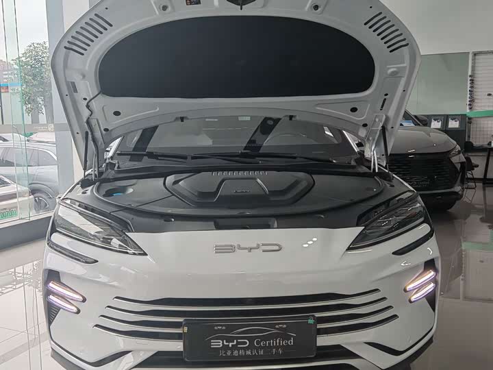 BYD Song Plus Hybrid/EV, 2023 — фото 3 из 9