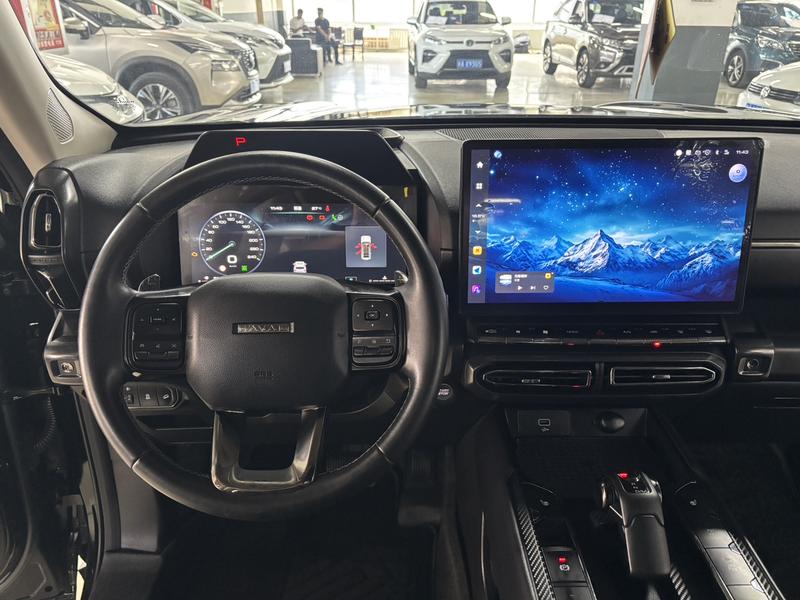 Haval H-Dog, 2023 — фото 9 из 12