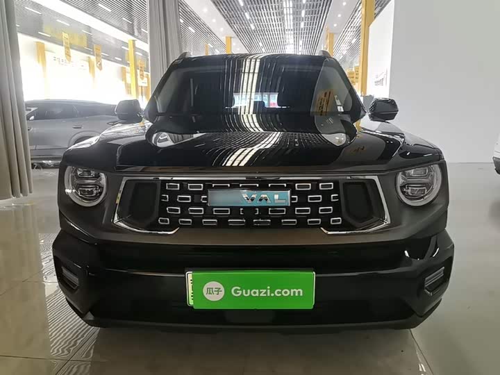 Haval H-Dog Hybrid, 2023 — фото 3 из 9