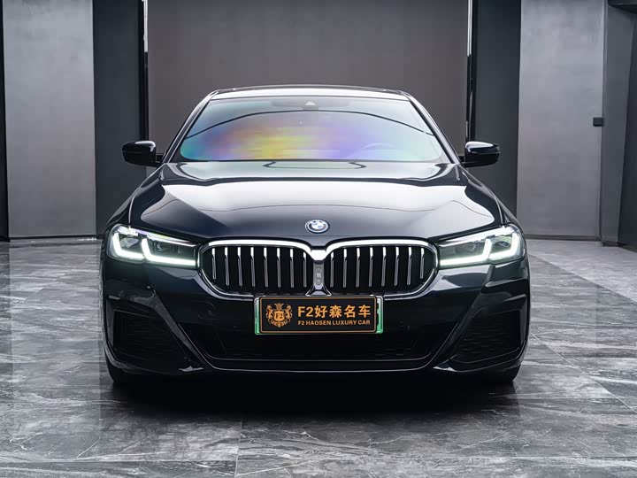BMW 5 Series Hybrid, 2022 — фото 6 из 9