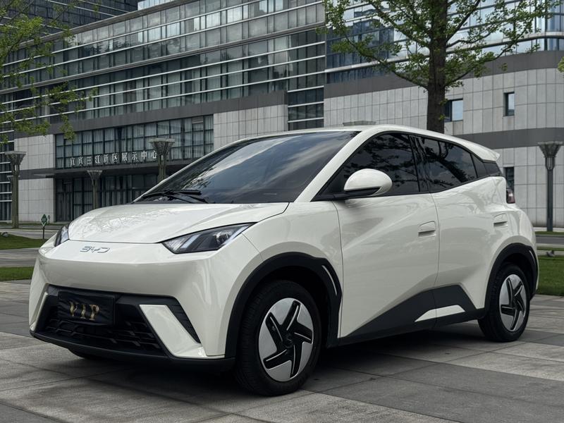 BYD Seagull, 2024 — купить в Санкт-Петербурге под ключ
