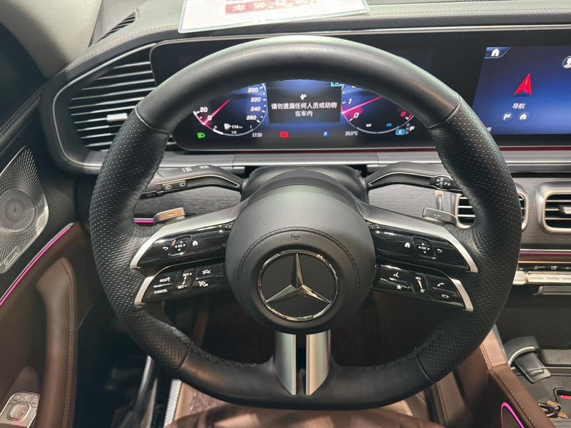 Mercedes-Benz GLS-Class, 2024 — фото 10 из 12