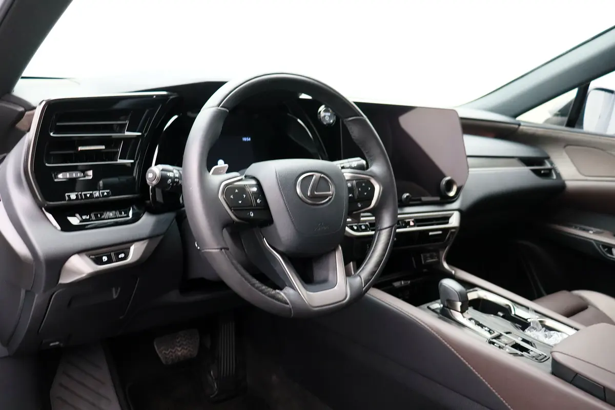 Lexus RX-Series, 2023 — фото 10 из 10