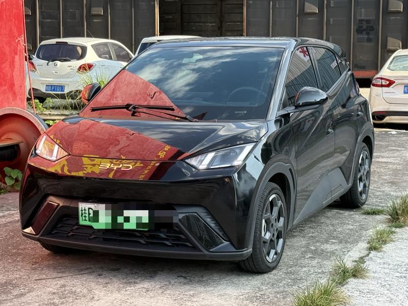 BYD Seagull, 2024 — купить в Саранске под ключ