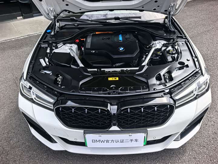 BMW 5 Series Hybrid, 2021 — фото 3 из 9