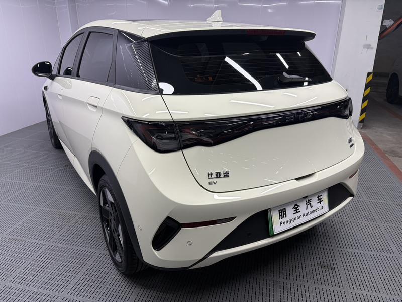 BYD Dolphin, 2025 — фото 4 из 12