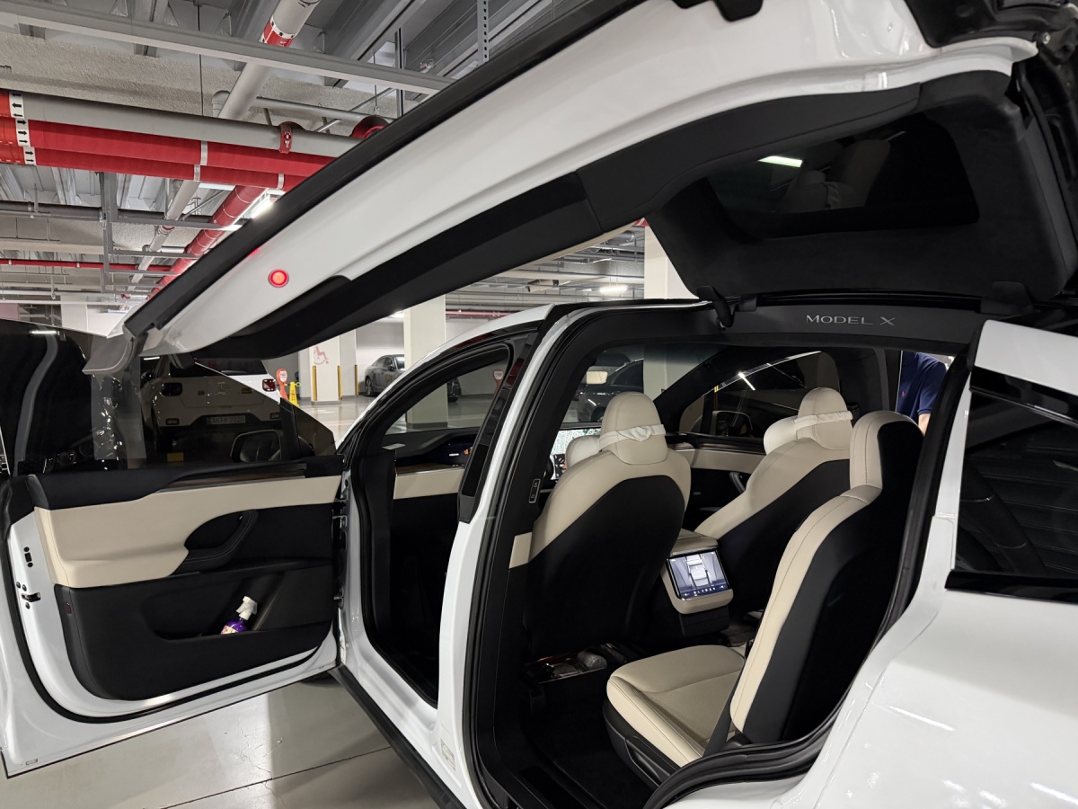 Tesla Model X, 2023 — фото 4 из 11