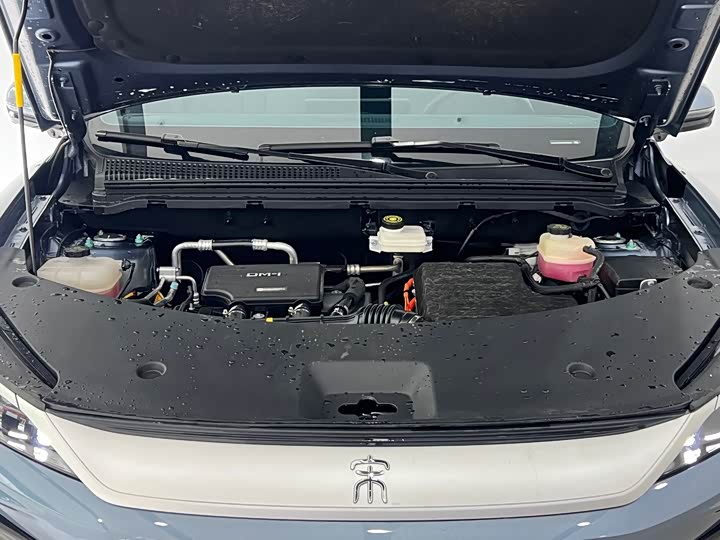 BYD Song Pro Hybrid, 2025 — фото 4 из 9