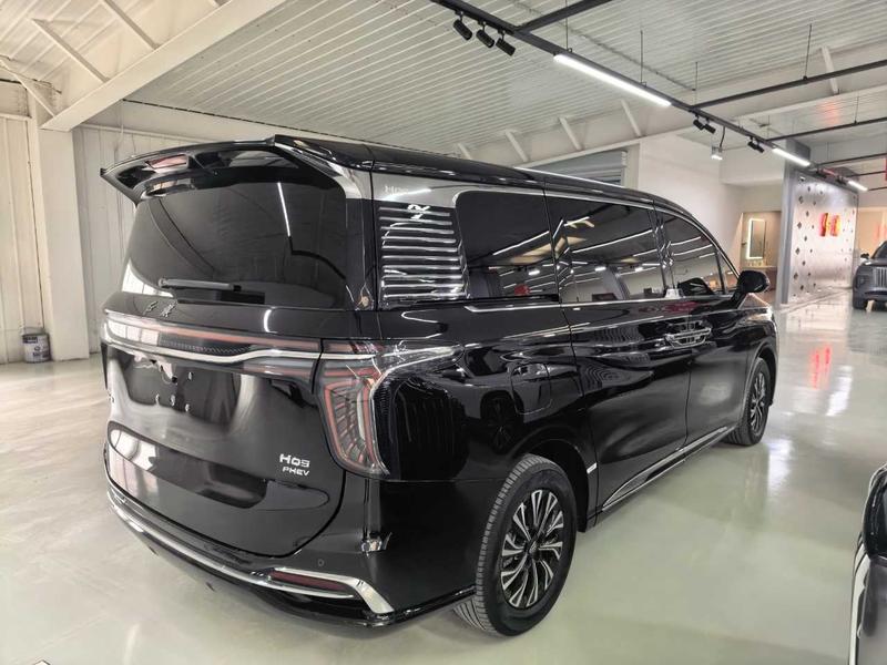 Hongqi HQ9 Hybrid, 2024 — фото 5 из 12