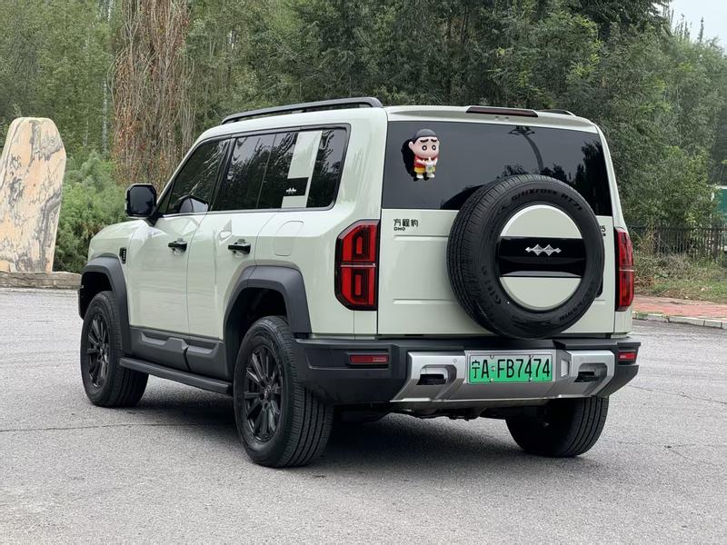 BYD FangChengBao Leopard 5, 2025 — фото 4 из 11