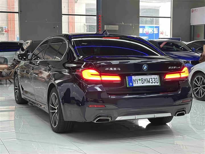 BMW 5 Series Hybrid, 2023 — фото 4 из 9