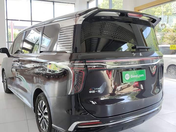 Hongqi HQ9 Hybrid, 2024 — фото 5 из 9
