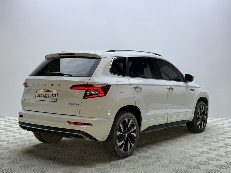 Skoda Karoq, 2023 — фото 6 из 12
