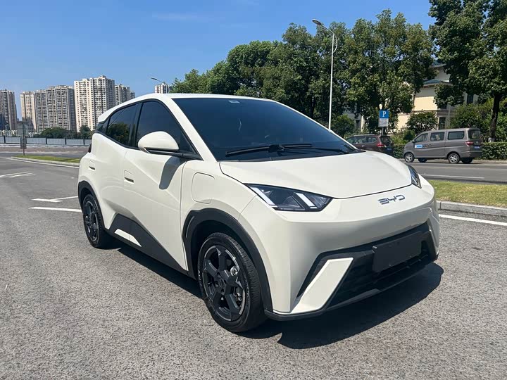 BYD Seagull, 2023 — фото 3 из 9
