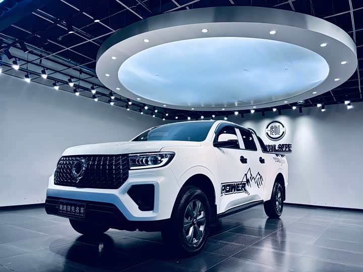 Great Wall Pao, 2024 — купить в Йошкар-Оле под ключ