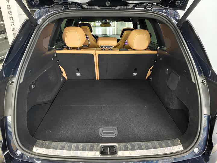 Lynk & Co 09 EM-P Hybrid, 2023 — фото 3 из 9