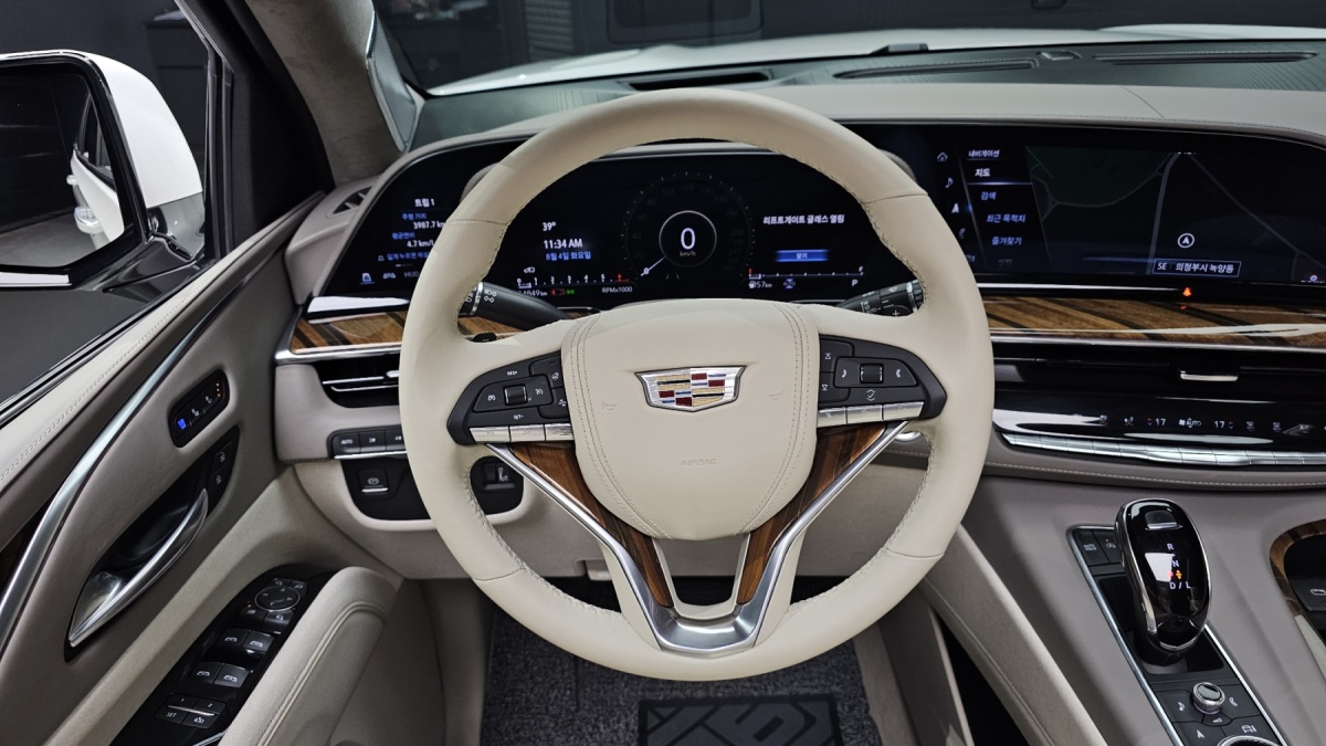 Cadillac Escalade, 2022 — фото 12 из 12