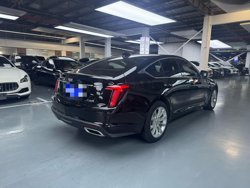 Cadillac CT5, 2024 — фото 6 из 12